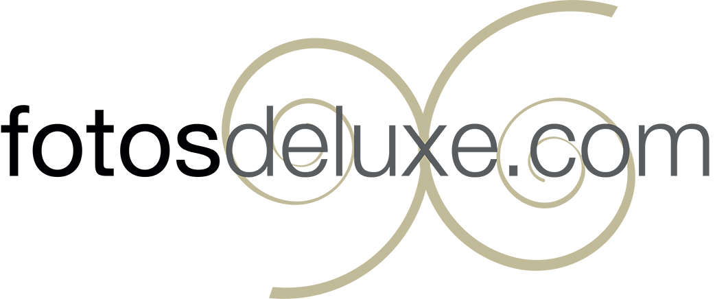 Souvenirs en Ligne logo